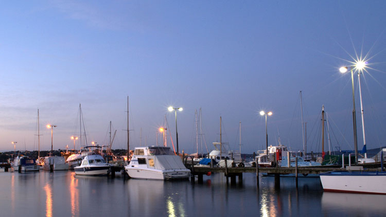 boats in a marina